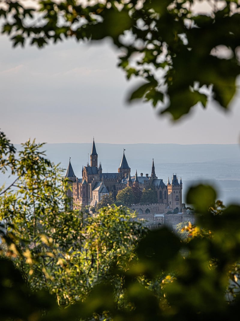 Medieval castle ruins