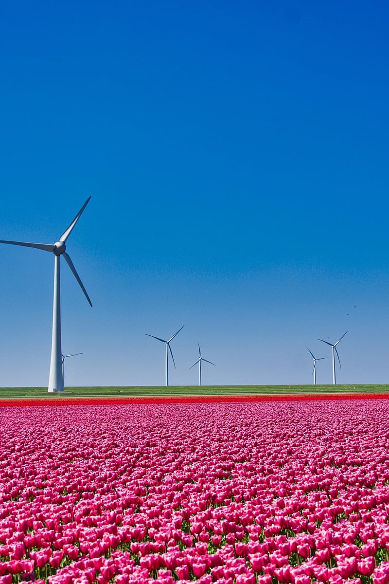 Netherlands